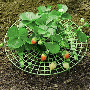 5pcs/lot Strawberry Stand Frame Holder Balcony Planting Rack Fruit Support Plant Flower Climbing Vine Pillar Gardening Stand